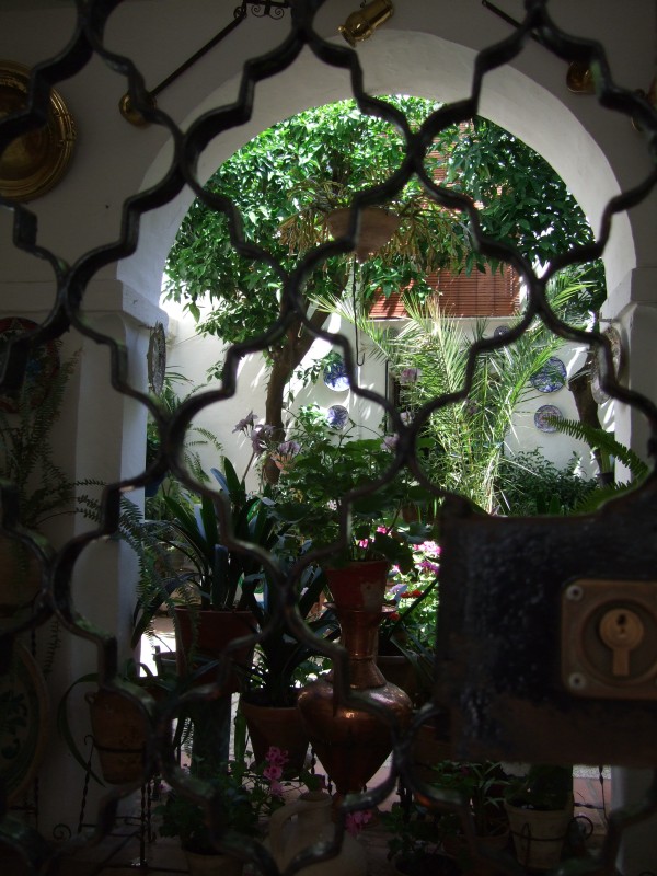 Anadalusien 2009 - 0318 